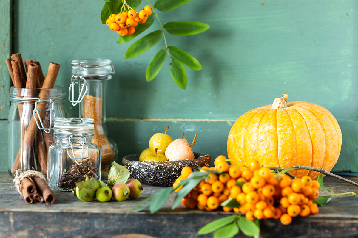 Autumn Wellness: Maintaining a Healthy Immune System Through Diet